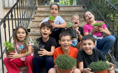 Fundació Vida Silvestre de la Mediterrània